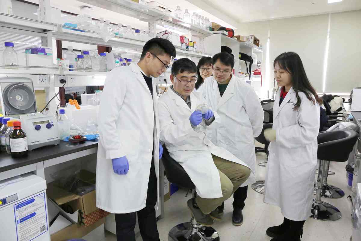 (上交医) 上海交通大学医学院上海精准医学研究院雷鸣团队围绕核酶